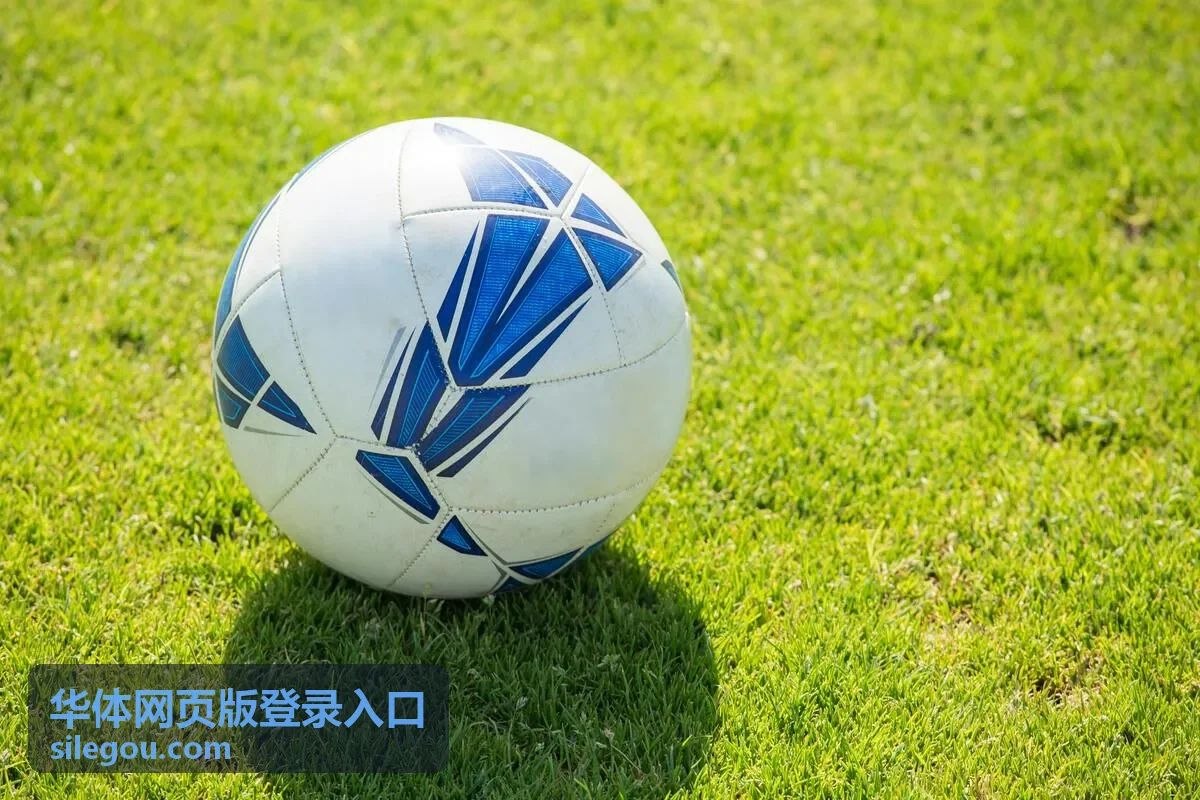 华体网页版登录入口页面提示处理场景