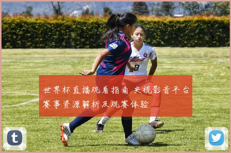 世界杯直播观看指南 央视影音平台赛事资源解析及观赛体验