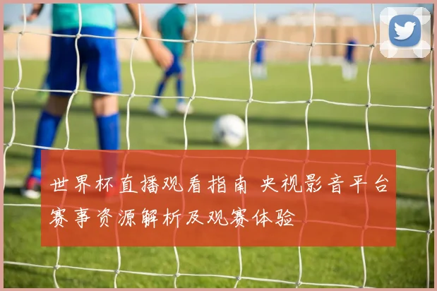 世界杯直播观看指南 央视影音平台赛事资源解析及观赛体验