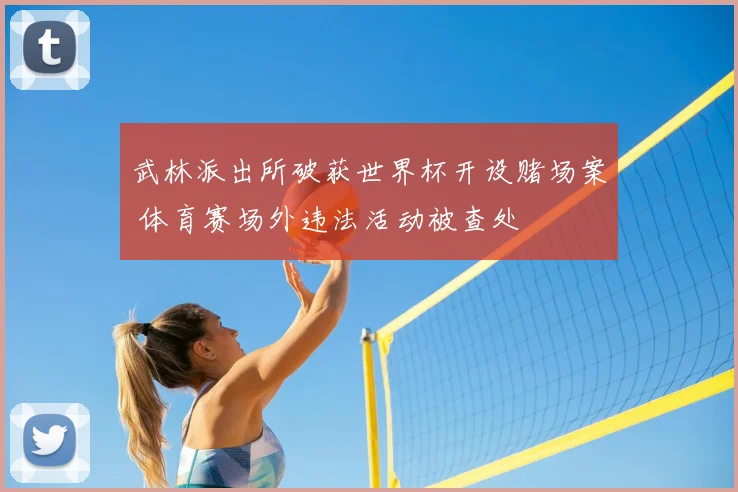 武林派出所破获世界杯开设赌场案 体育赛场外违法活动被查处