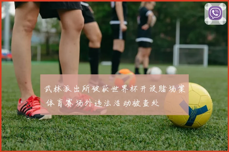 武林派出所破获世界杯开设赌场案 体育赛场外违法活动被查处