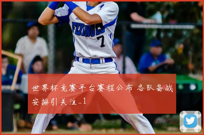 世界杯竞赛平台赛程公布 各队备战安排引关注_1