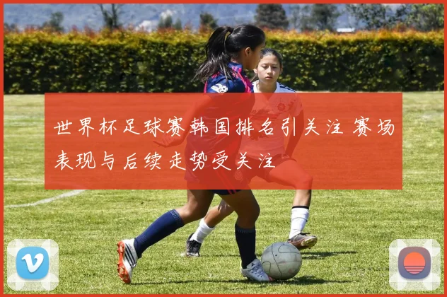 世界杯足球赛韩国排名引关注 赛场表现与后续走势受关注